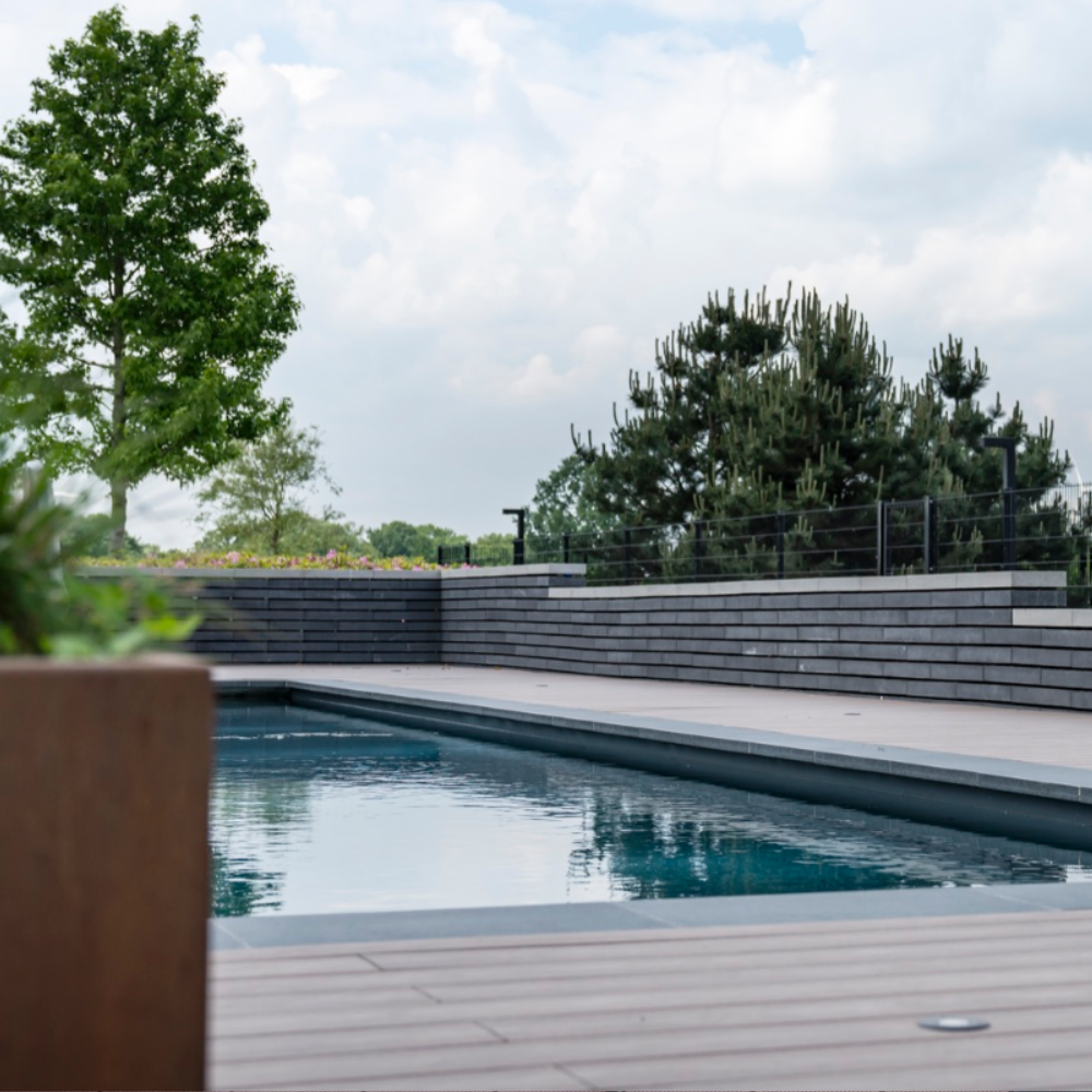 Untitled design (43)